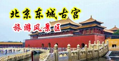 白嫩美女动态草逼视频中国北京-东城古宫旅游风景区